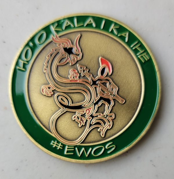 NSA/CSS HAWAII - AIR BRANCH - Challenge Coin - Image 2
