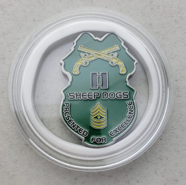 308TH MILITARY POLICE - Challenge Coin - Image 2