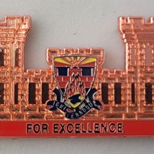 253rd ENGINEER BATTALION - Challenge Coin