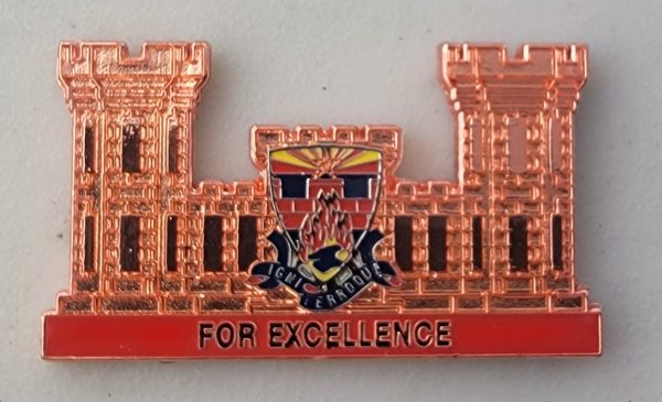 253rd ENGINEER BATTALION - Challenge Coin