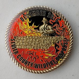 SEVIER COUNTY WILDFIRE RESPONSE - Challenge Coin