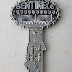 193RD MILITARY POLICE - SENTINELS - Challenge Coin