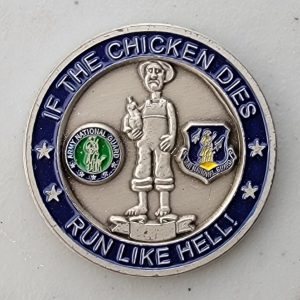 41ST  CIVIL SUPPORT TEAM - Challenge Coin