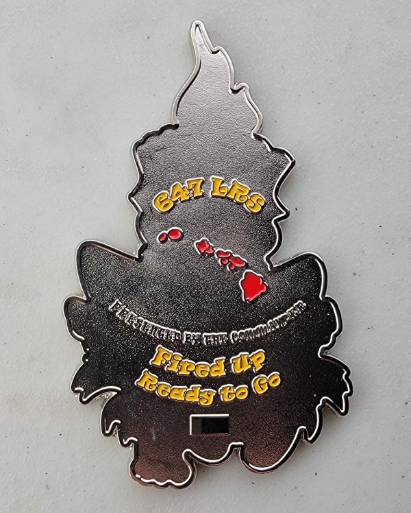 647LRS - Challenge Coin - Image 2