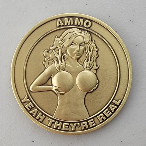 IYAAYAS - LUKE AFB - Challenge Coin - Image 2