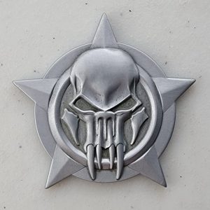 ODA 7311 - Challenge Coin