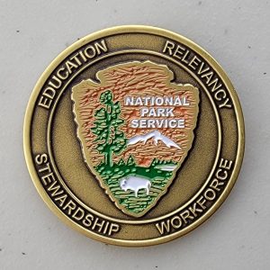 NPS - LEARNING & DEVELOPMENT -  Challenge Coin