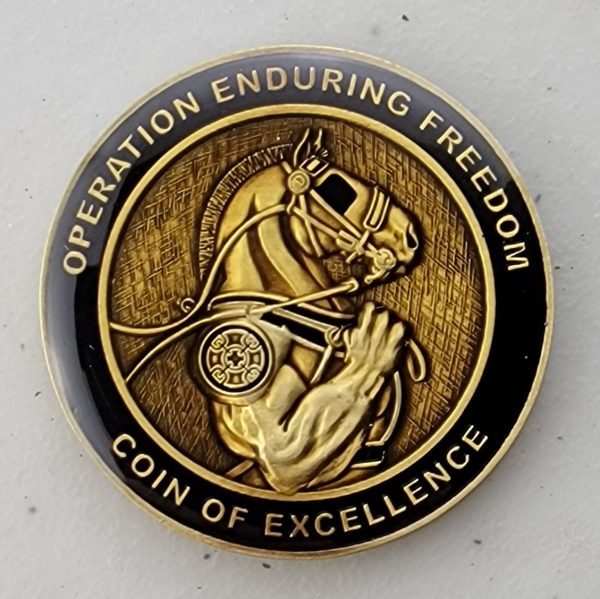 236TH ICTC - TASK FORCE 142 - OEF - Challenge Coin