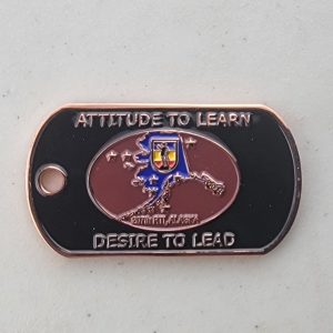 207TH RTI - Challenge Coin